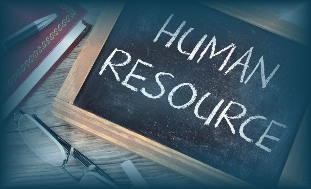 Fungsi-Fungsi Utama HRD lengkap dengan pembagian peran dalam perusahaan profesional